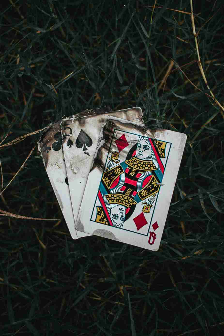 bizzocasino